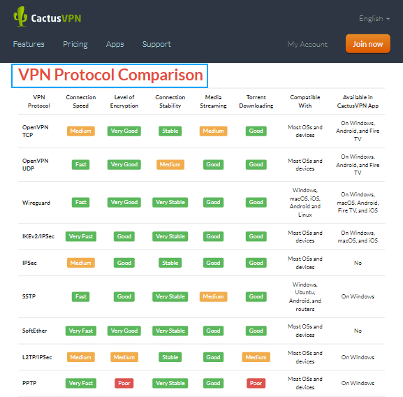 VPN-Protocol-CactusVPN 